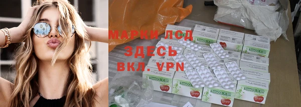прущие грибы Алексеевка