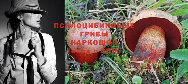 прущие грибы Алексеевка