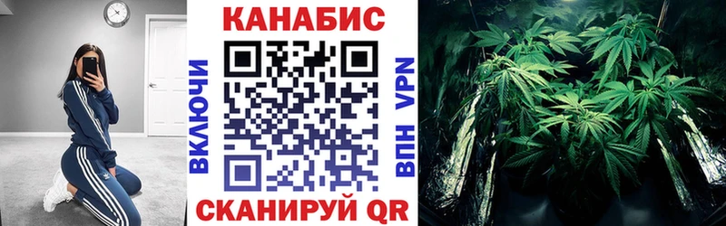 mega ССЫЛКА Мытищи Бошки марихуана THC 21%